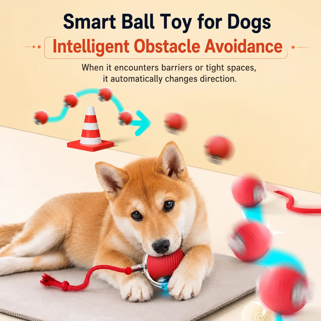 Rechargeable Automatic Rolling Dog Ball – 3 Play Modes