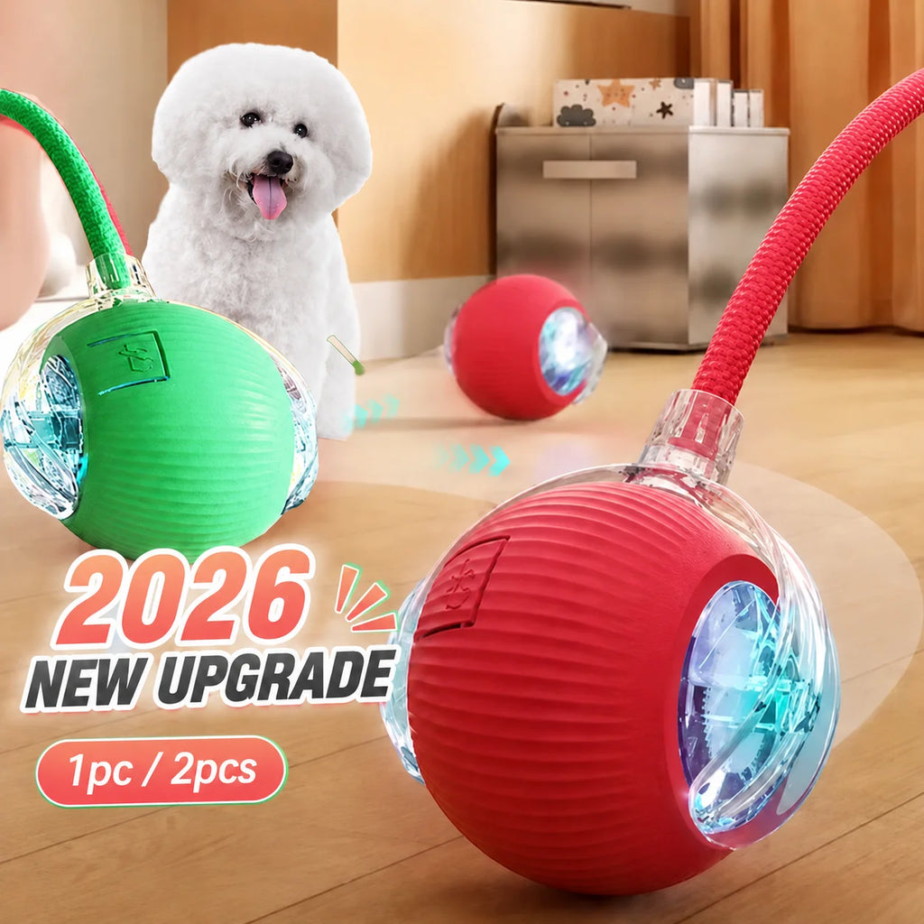 Rechargeable Automatic Rolling Dog Ball – 3 Play Modes