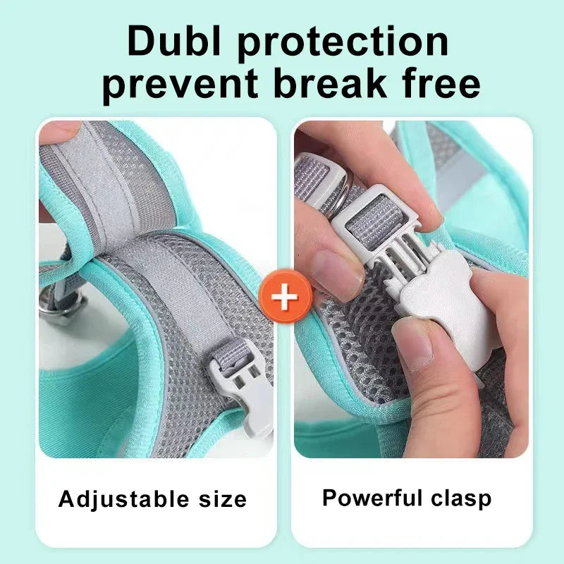 Small Dog Harness & Leash Set
