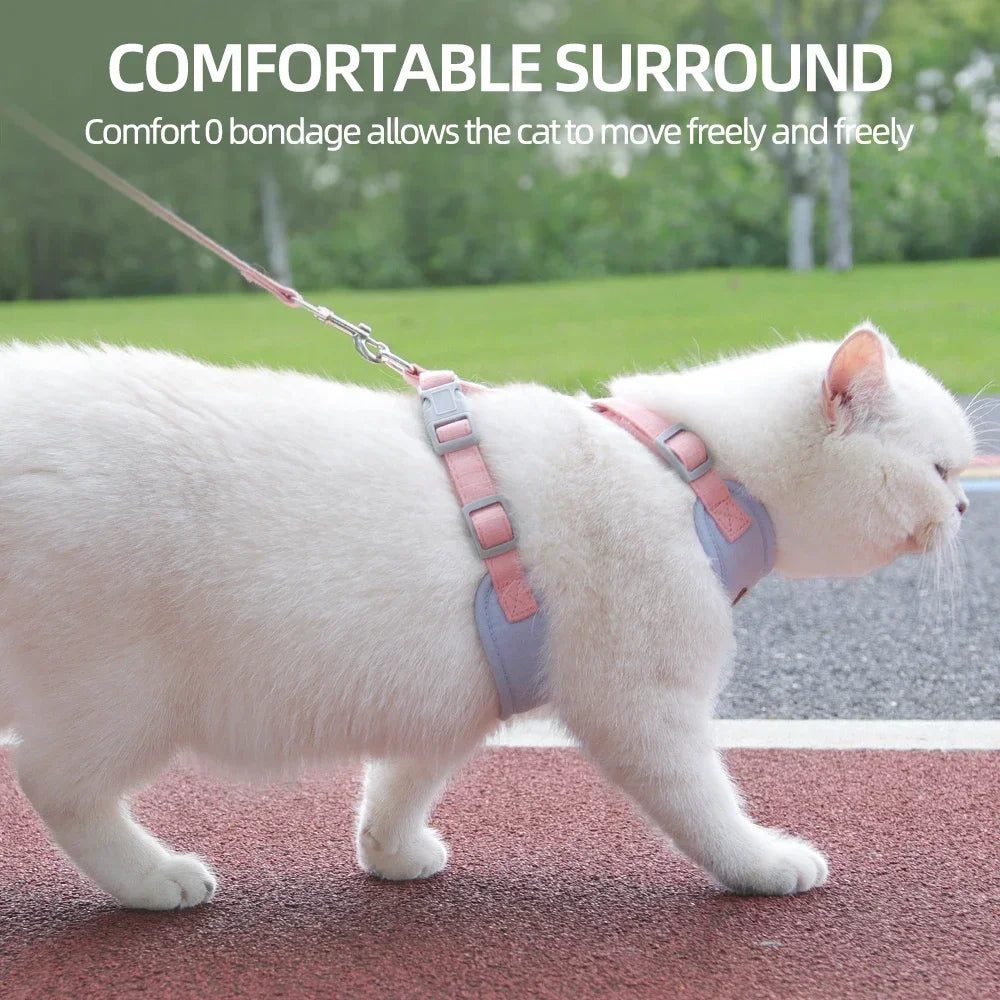 Pet Harness Leash Set
