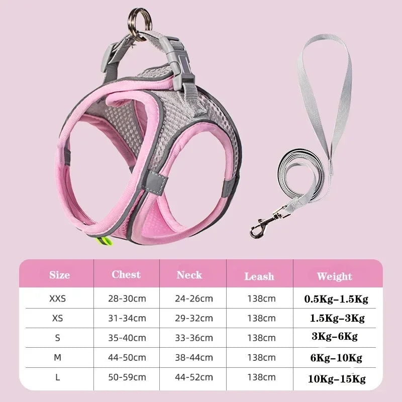 Small Dog Harness & Leash Set