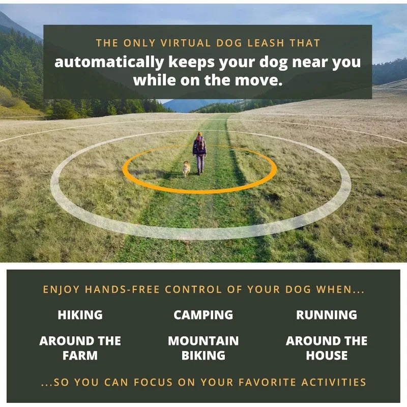 Virtual Dog Leash