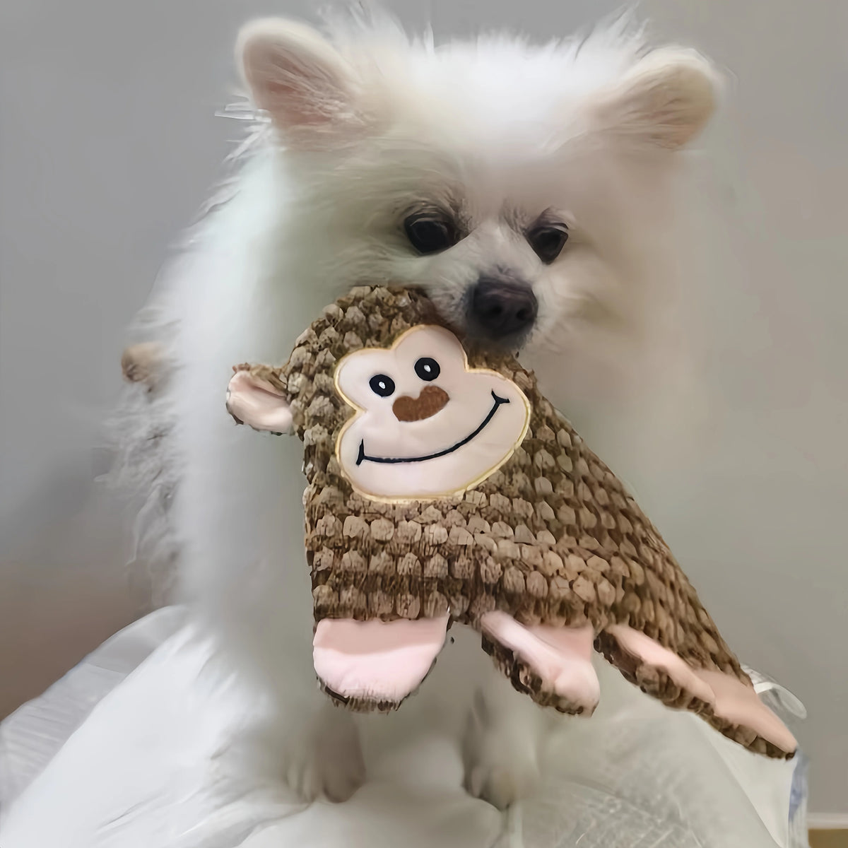 No-Stuffing Squeaky Dog Toys