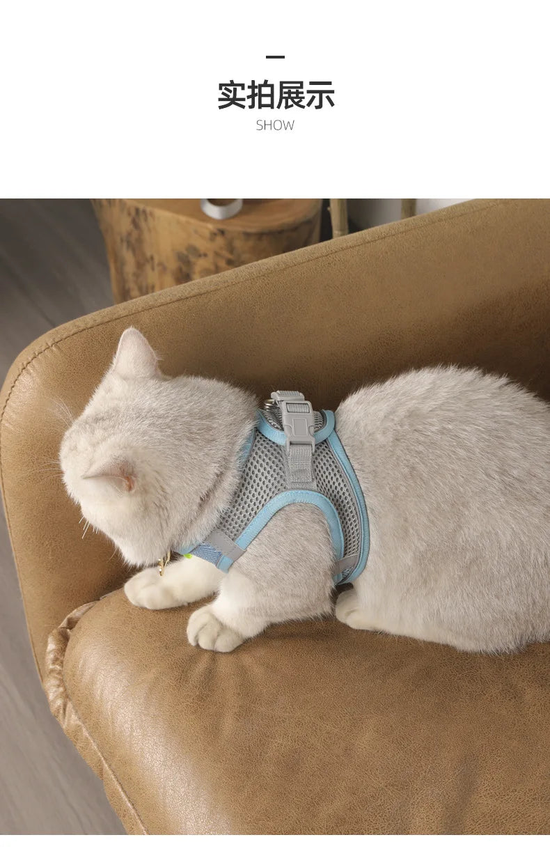 Small Dog Harness & Leash Set