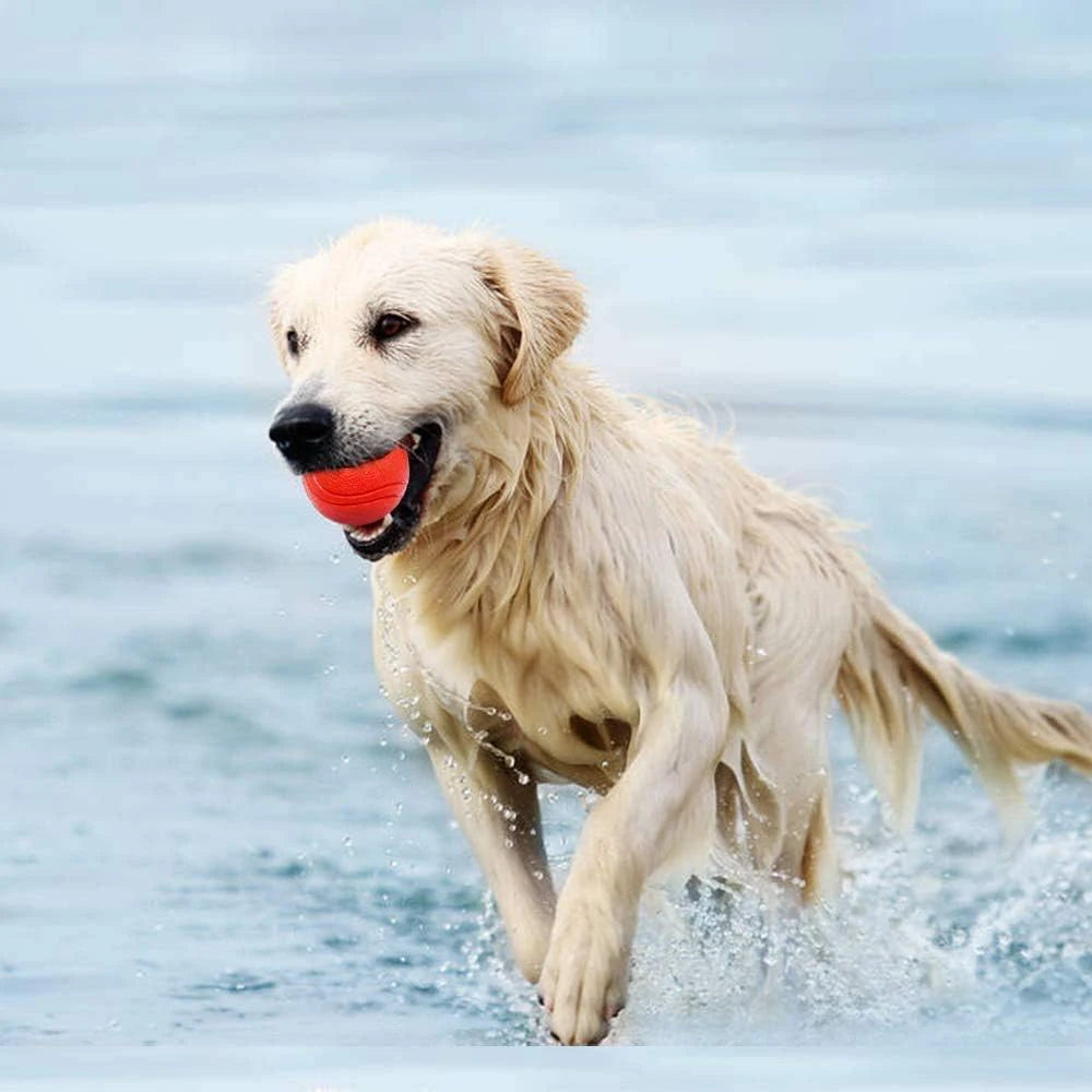 Solid Rubber Fetch Ball for Dogs & Cats