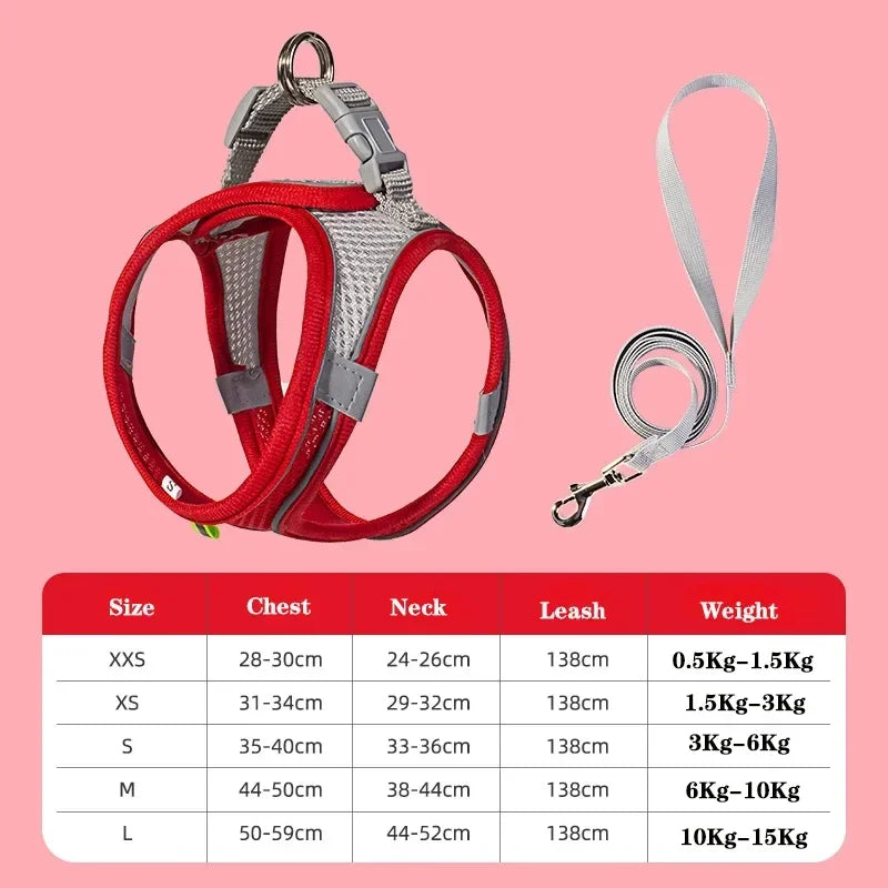 Small Dog Harness & Leash Set