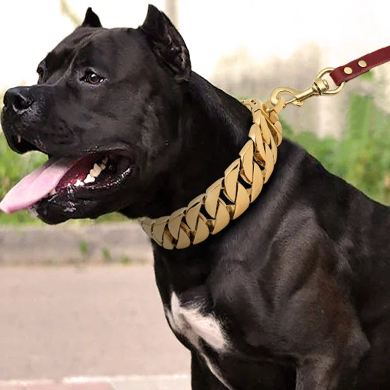 Stainless Steel Dog Collar