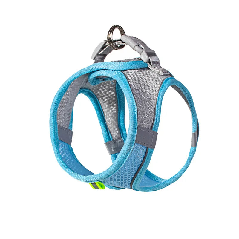 Small Dog Harness & Leash Set