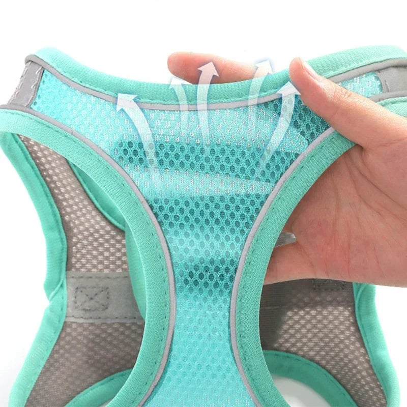Small Dog Harness & Leash Set