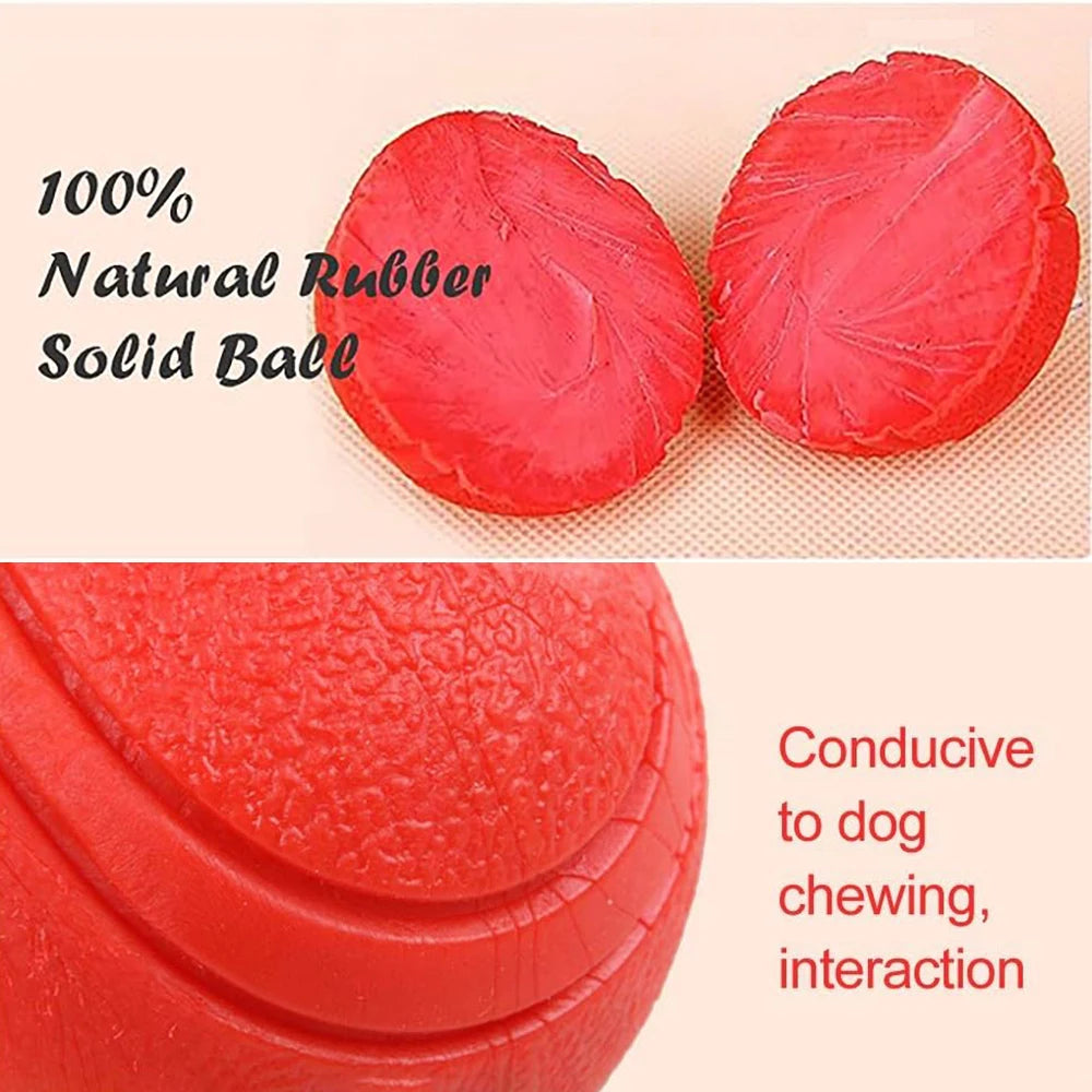 Solid Rubber Fetch Ball for Dogs & Cats