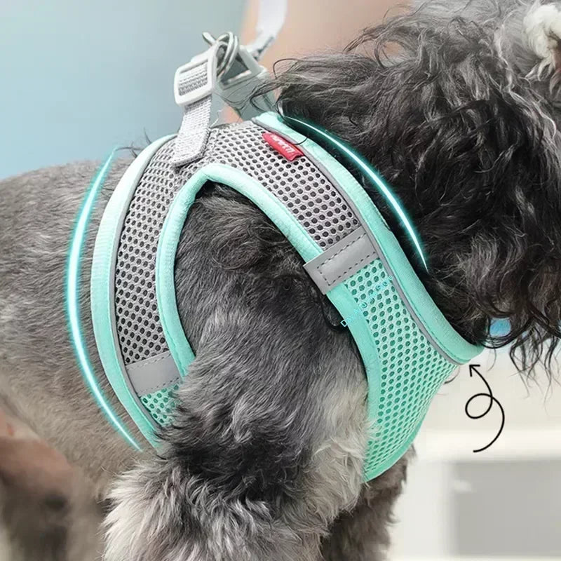 Small Dog Harness & Leash Set
