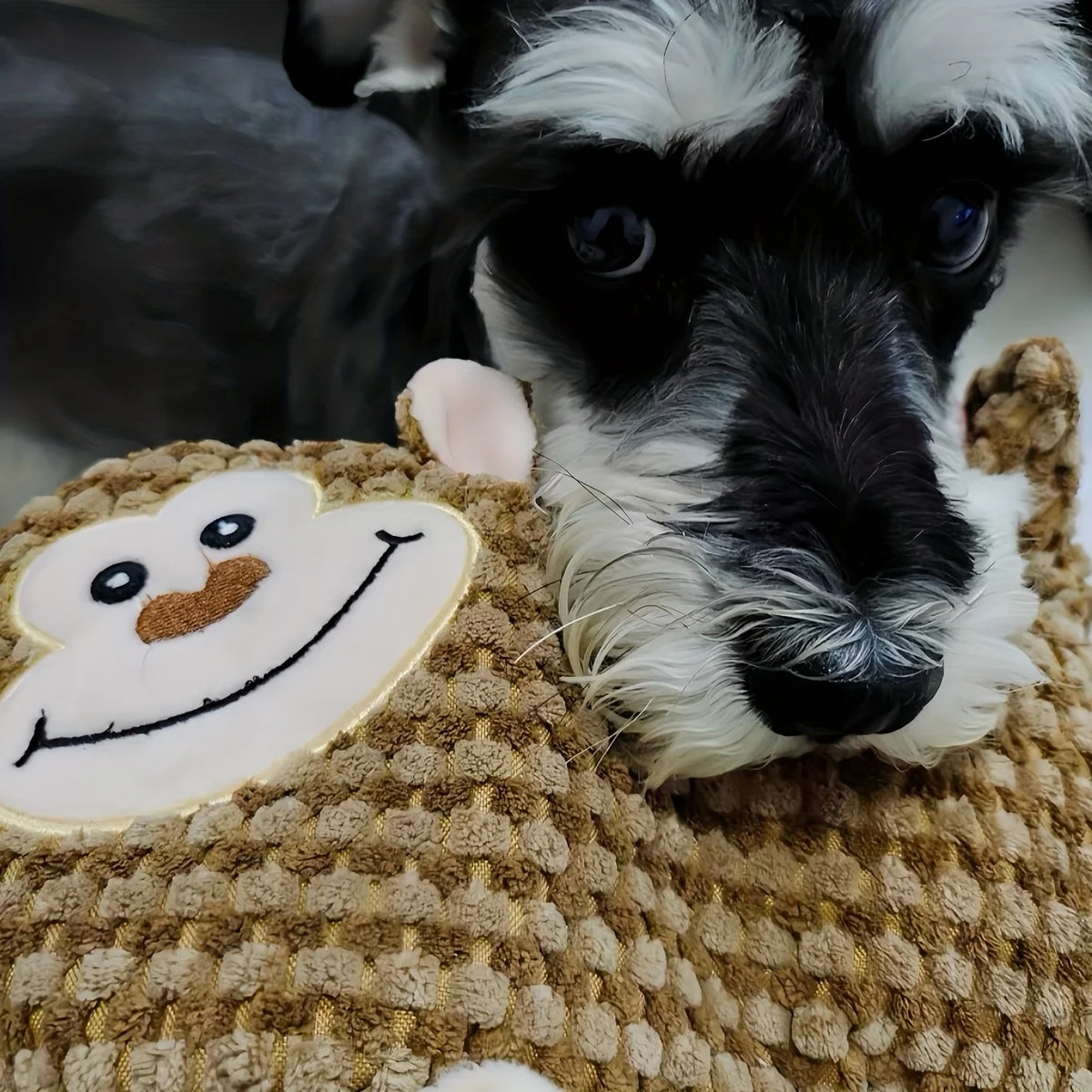No-Stuffing Squeaky Dog Toys