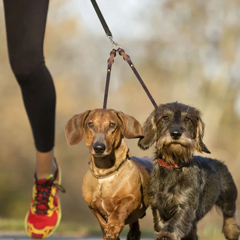 Double Leather Dog Leash