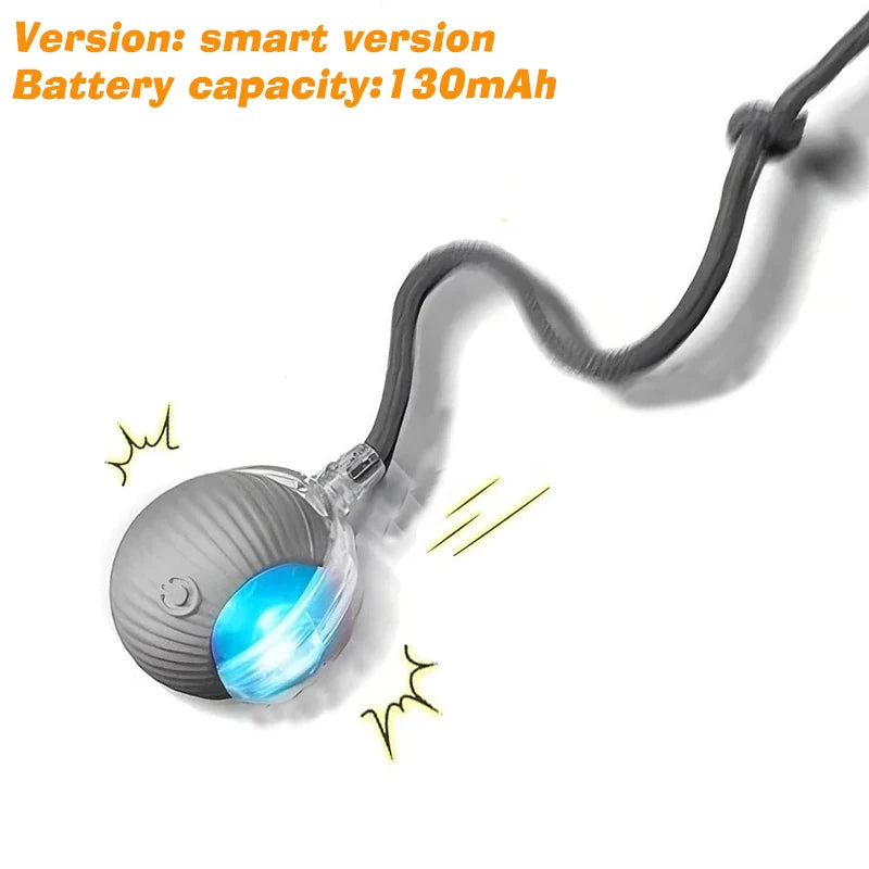 Rechargeable Automatic Rolling Dog Ball – 3 Play Modes