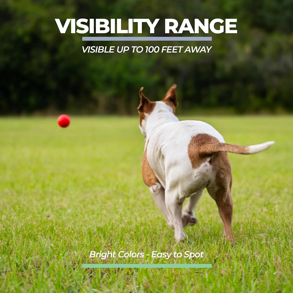 Solid Rubber Fetch Ball for Dogs & Cats