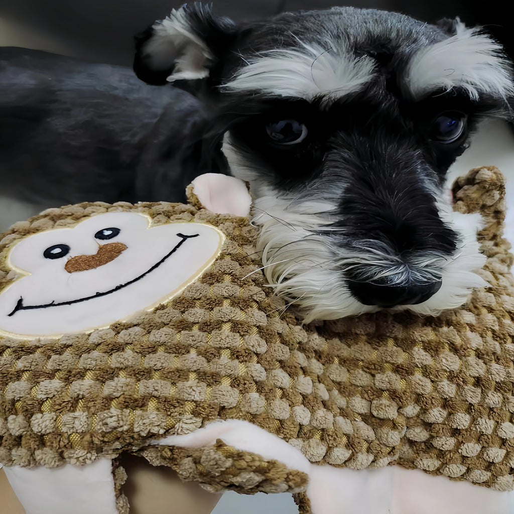 No-Stuffing Squeaky Dog Toys