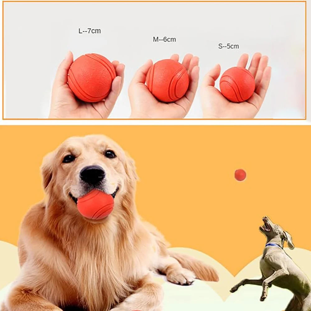 Solid Rubber Fetch Ball for Dogs & Cats