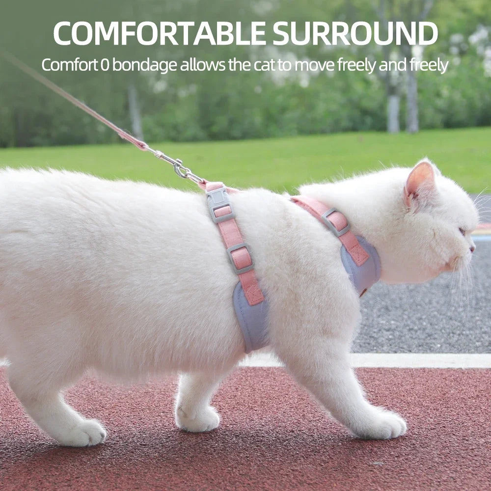 Pet Harness Leash Set