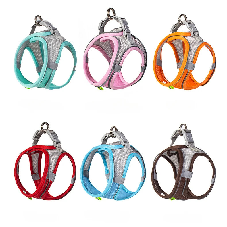 Small Dog Harness & Leash Set