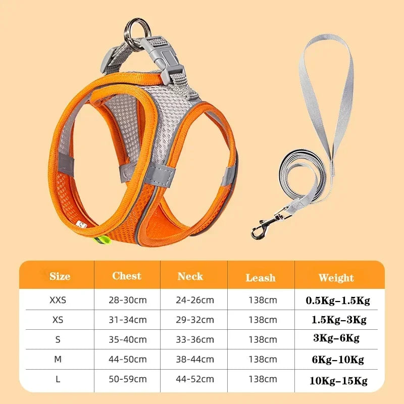 Small Dog Harness & Leash Set