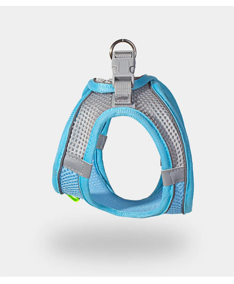 Small Dog Harness & Leash Set