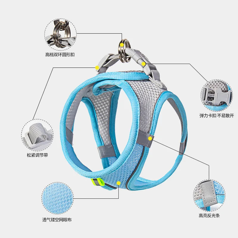 Small Dog Harness & Leash Set