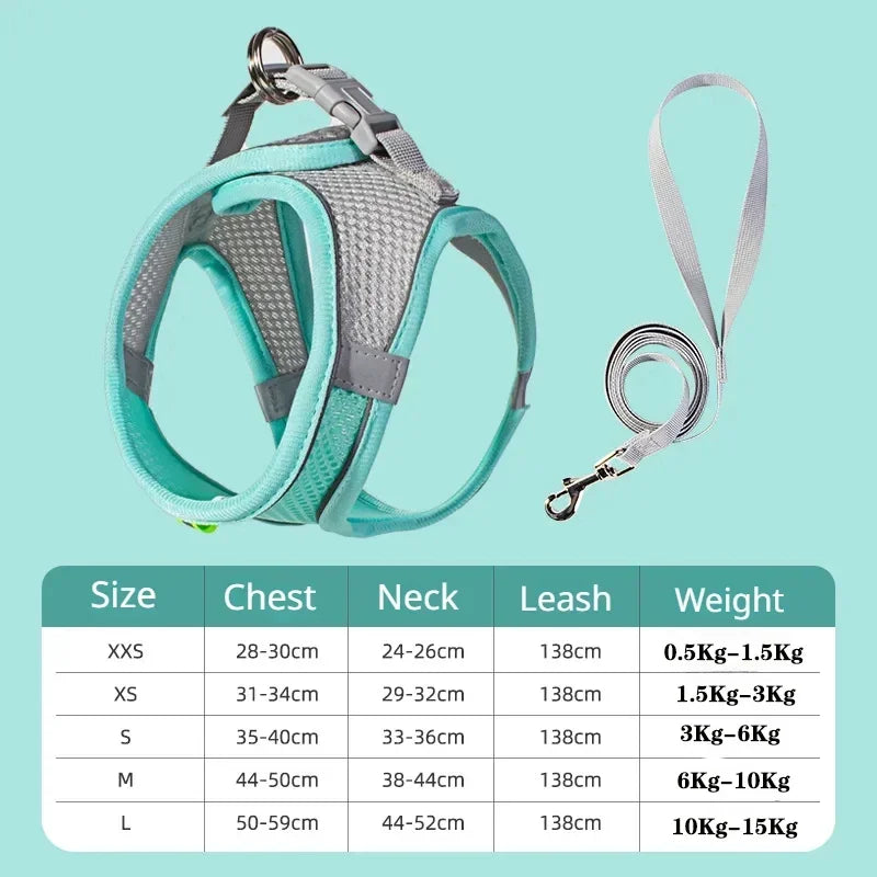 Small Dog Harness & Leash Set