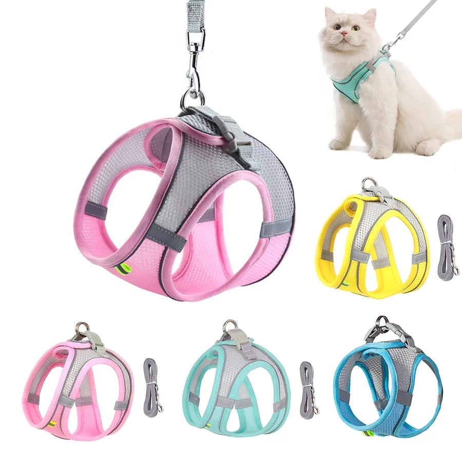 Small Dog Harness & Leash Set