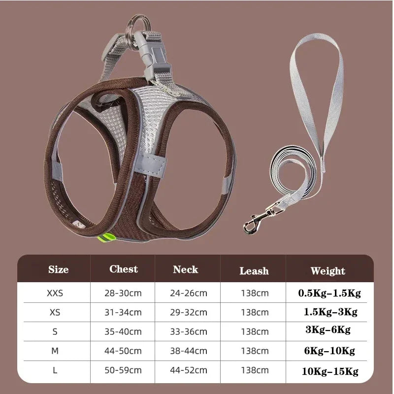 Small Dog Harness & Leash Set