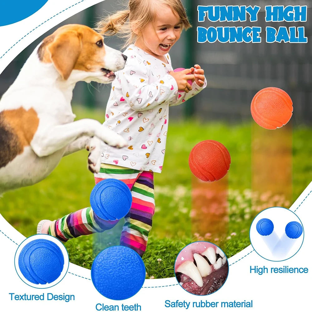 Solid Rubber Fetch Ball for Dogs & Cats