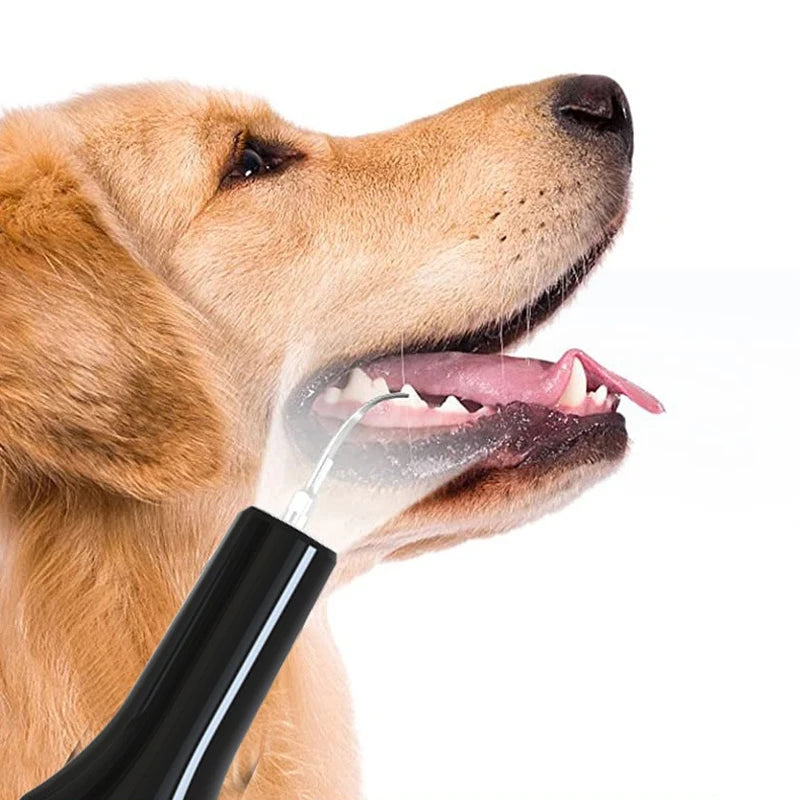 Pet Dental Cleaning Kit