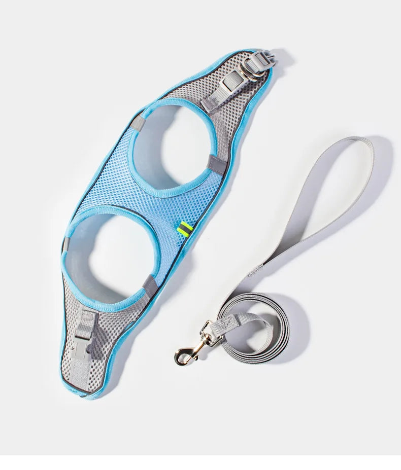 Small Dog Harness & Leash Set