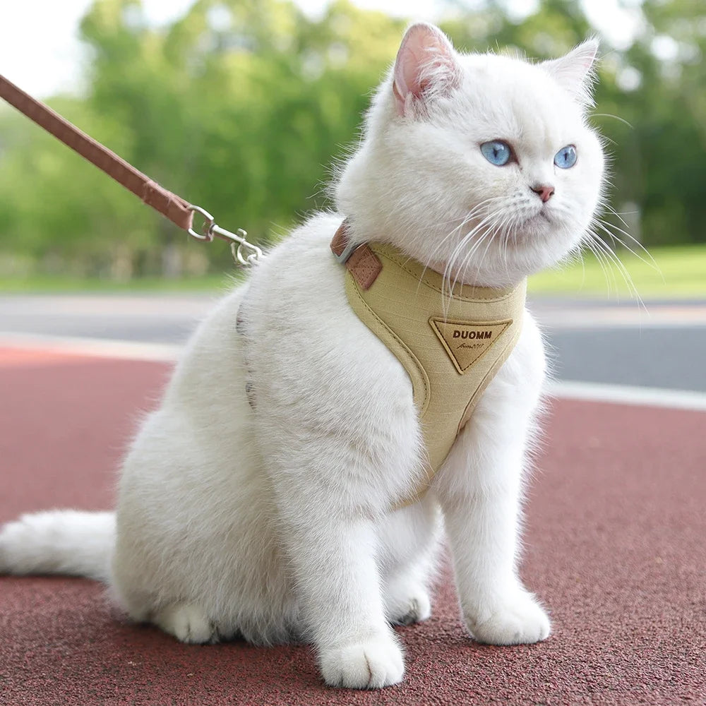 Pet Harness Leash Set