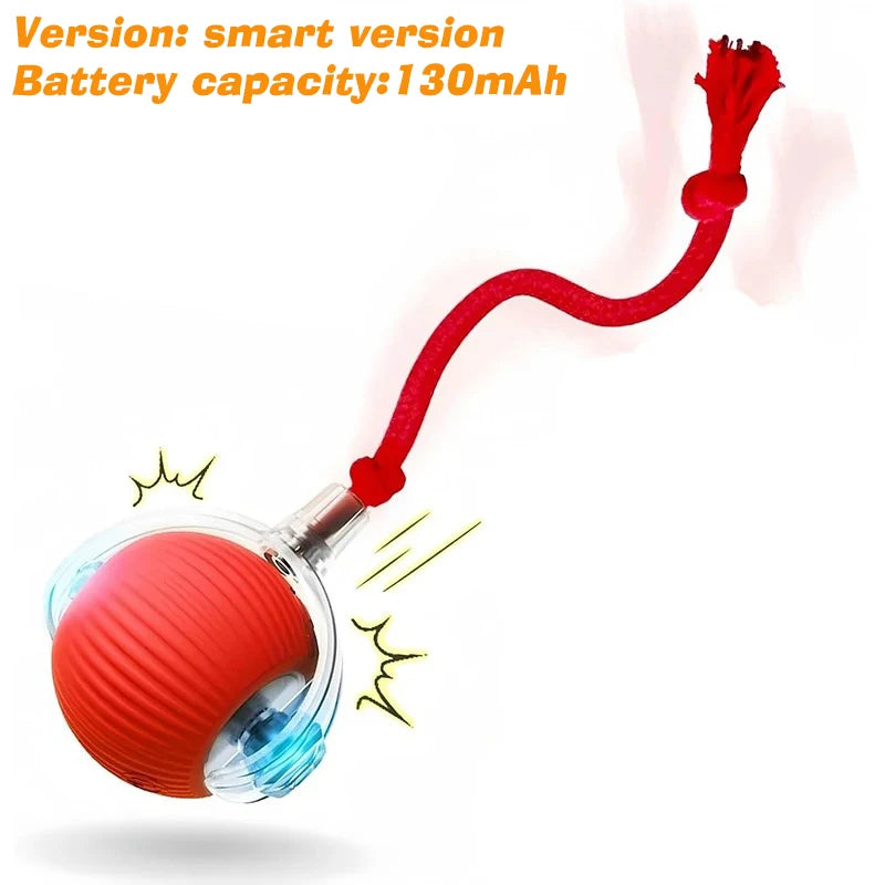 Rechargeable Automatic Rolling Dog Ball – 3 Play Modes