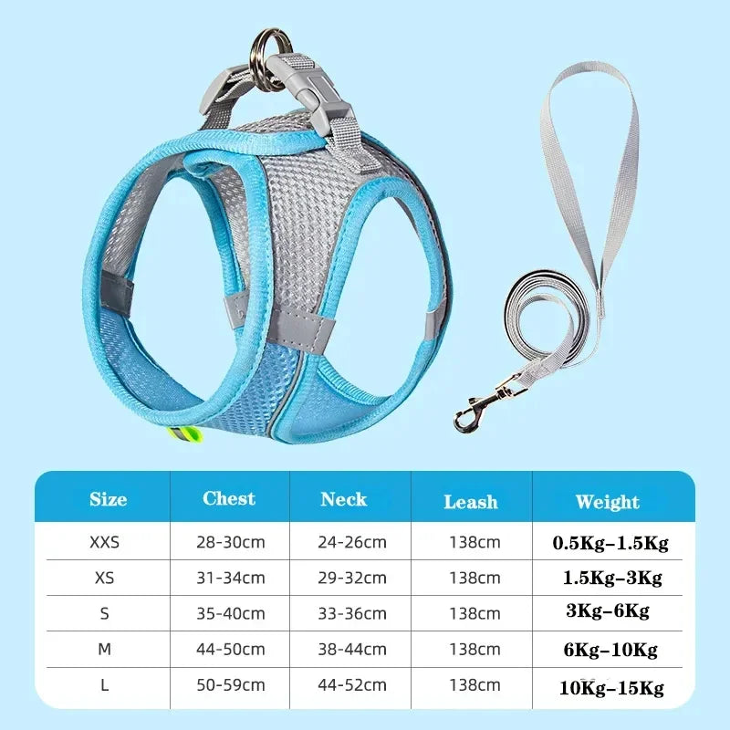 Small Dog Harness & Leash Set
