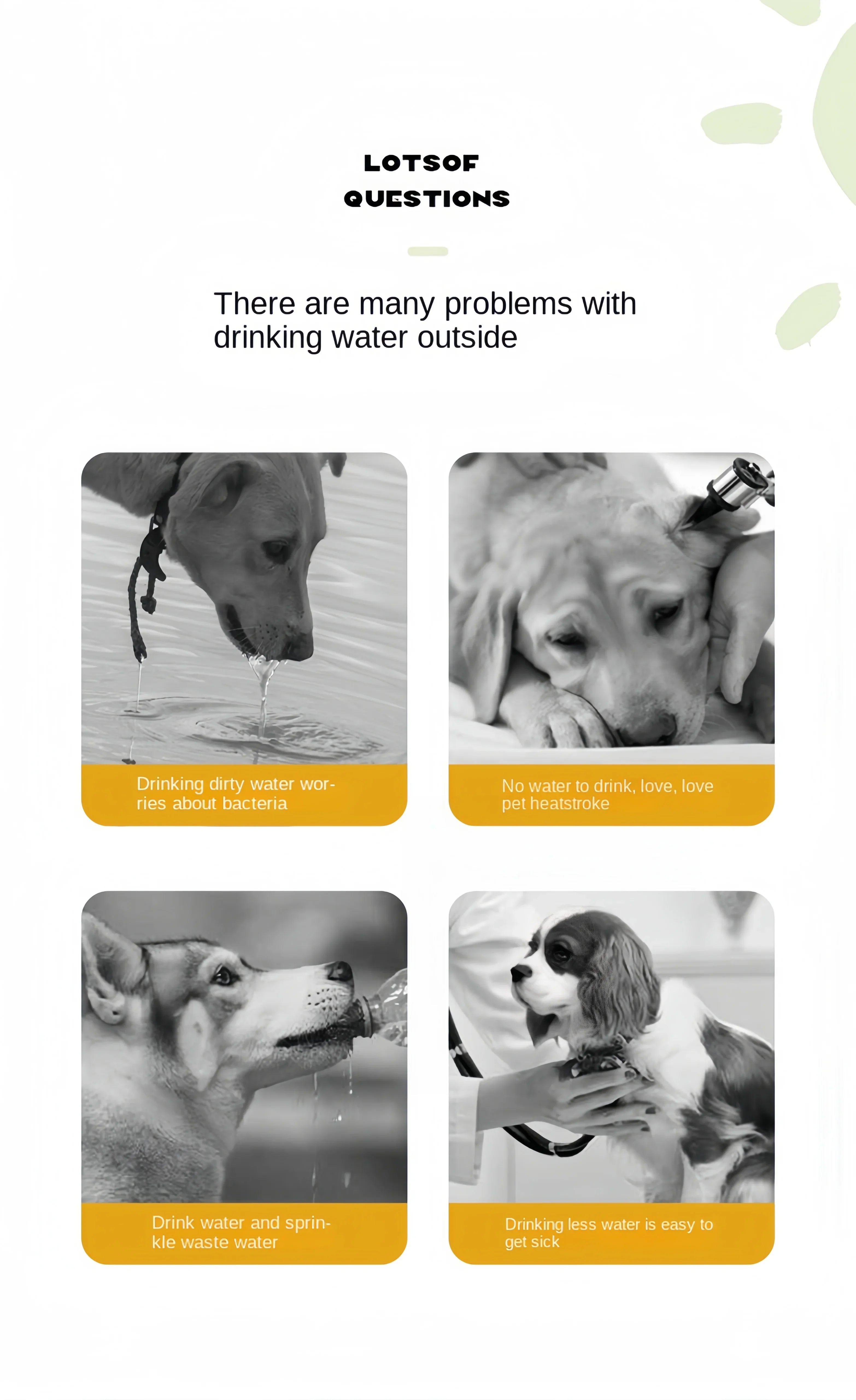 Portable Pet Water Bottle