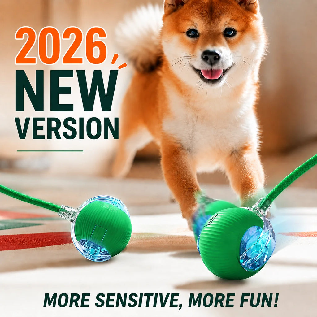 Rechargeable Automatic Rolling Dog Ball – 3 Play Modes