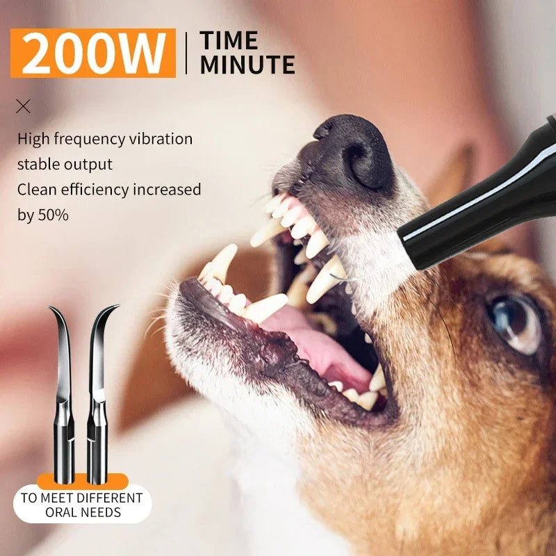 Pet Dental Cleaning Kit