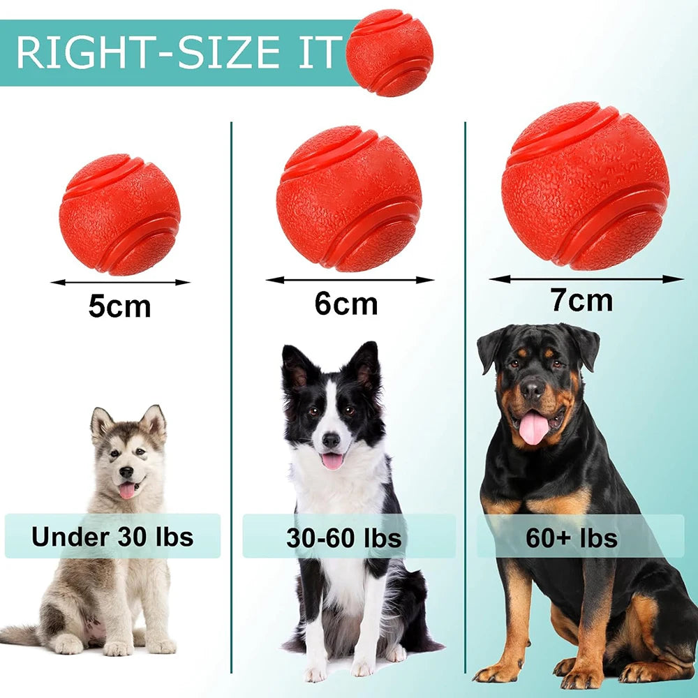 Solid Rubber Fetch Ball for Dogs & Cats