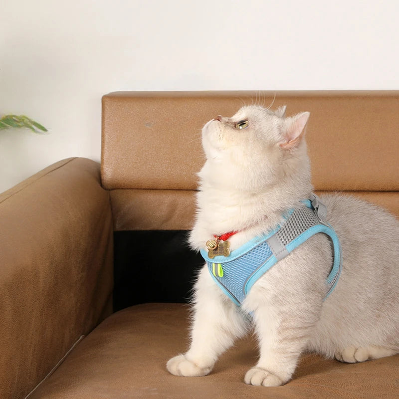 Small Dog Harness & Leash Set