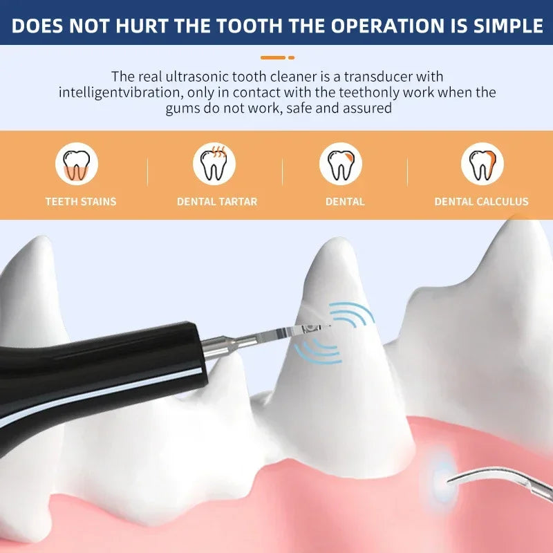 Pet Dental Cleaning Kit