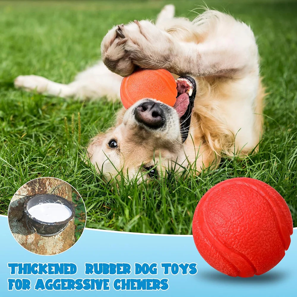 Solid Rubber Fetch Ball for Dogs & Cats