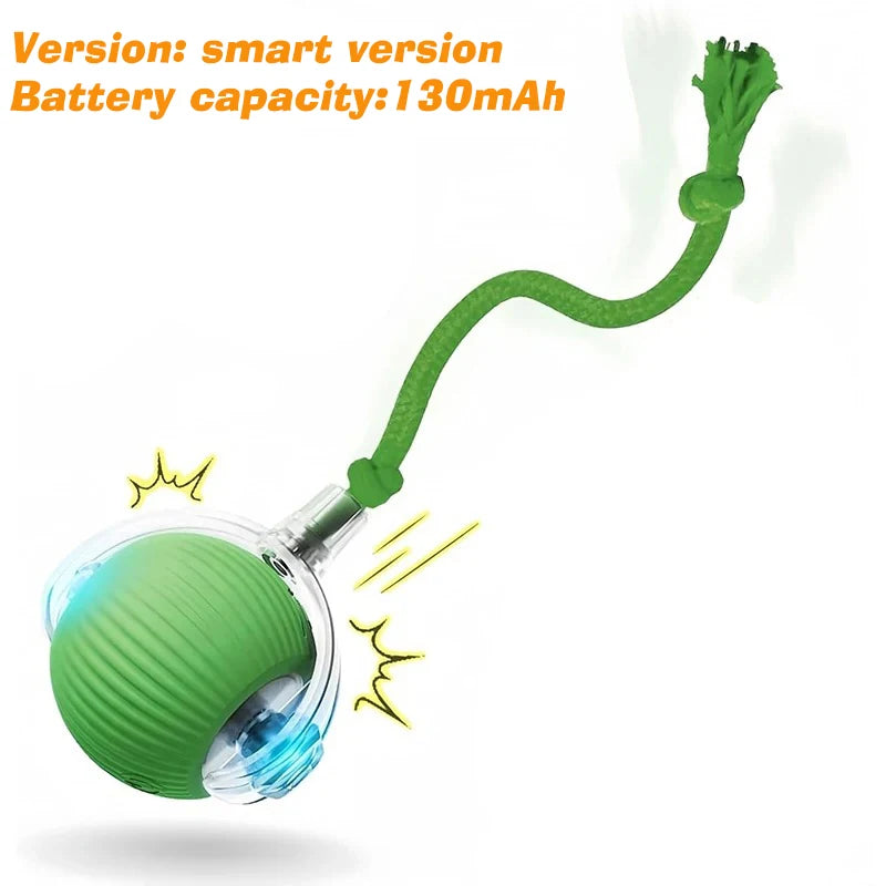 Rechargeable Automatic Rolling Dog Ball – 3 Play Modes