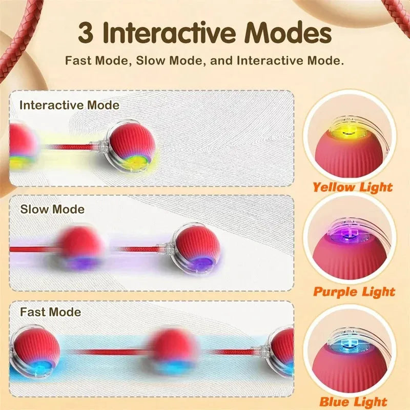 Rechargeable Automatic Rolling Dog Ball – 3 Play Modes