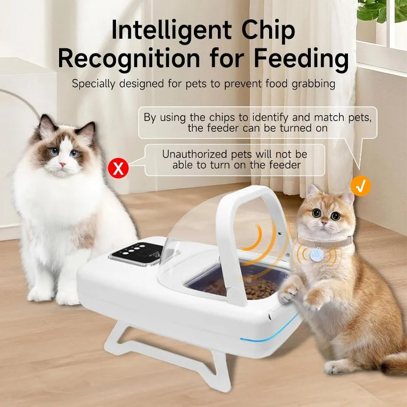 Smart Collar Pet Feeder