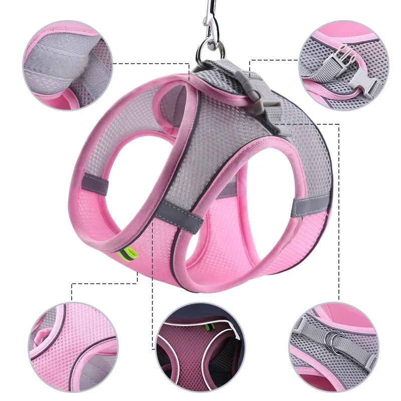 Small Dog Harness & Leash Set