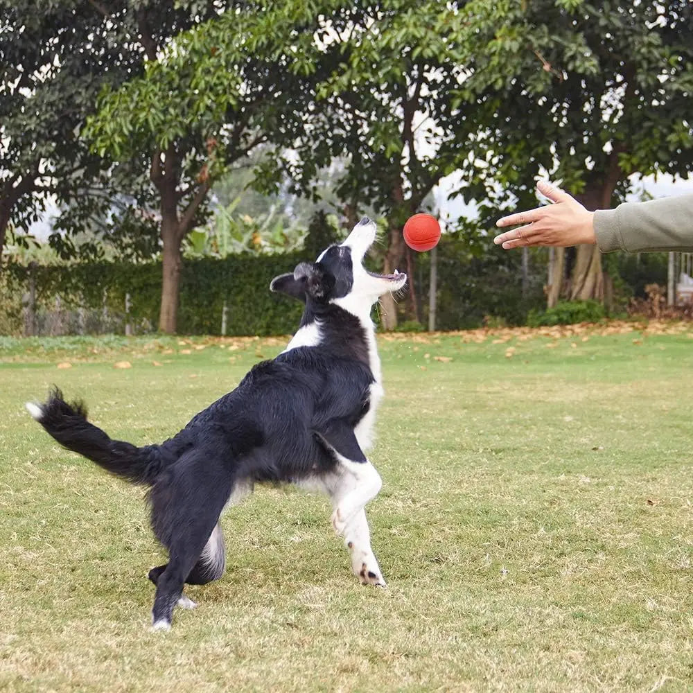 Solid Rubber Fetch Ball for Dogs & Cats