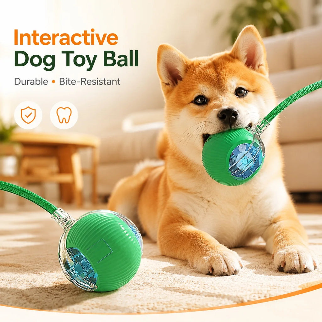 Rechargeable Automatic Rolling Dog Ball – 3 Play Modes