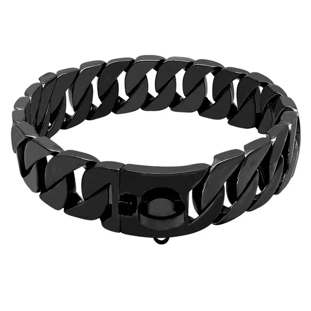 Stainless Steel Dog Collar